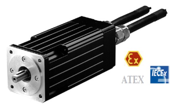 Explosion proof motor